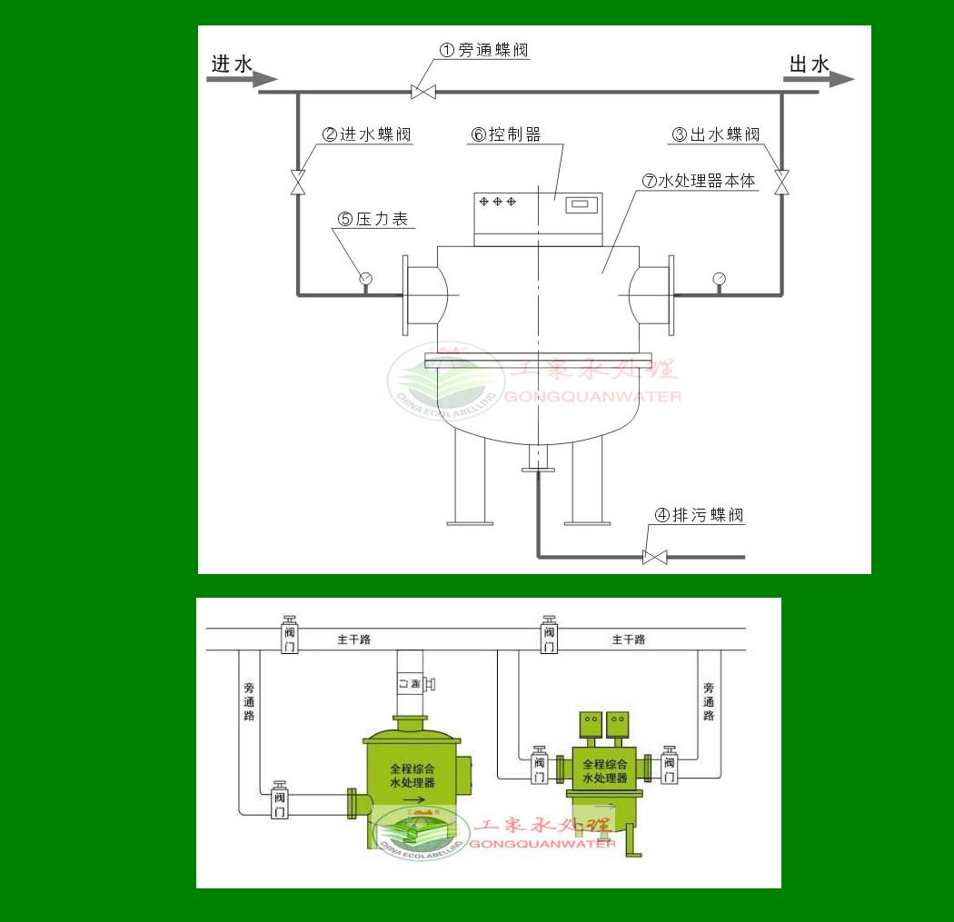 49629澳网